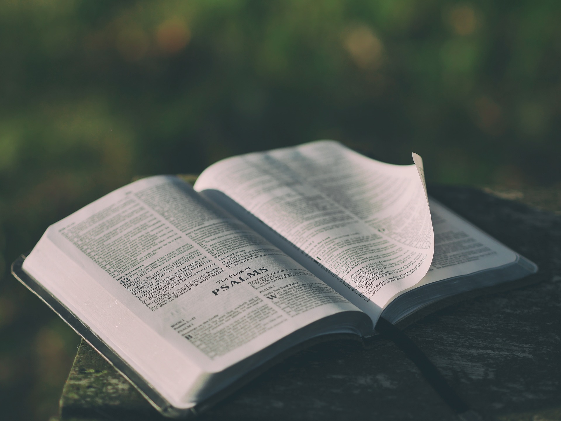 Baixe a Bíblia no Celular: Seu Guia Fácil e Detalhado